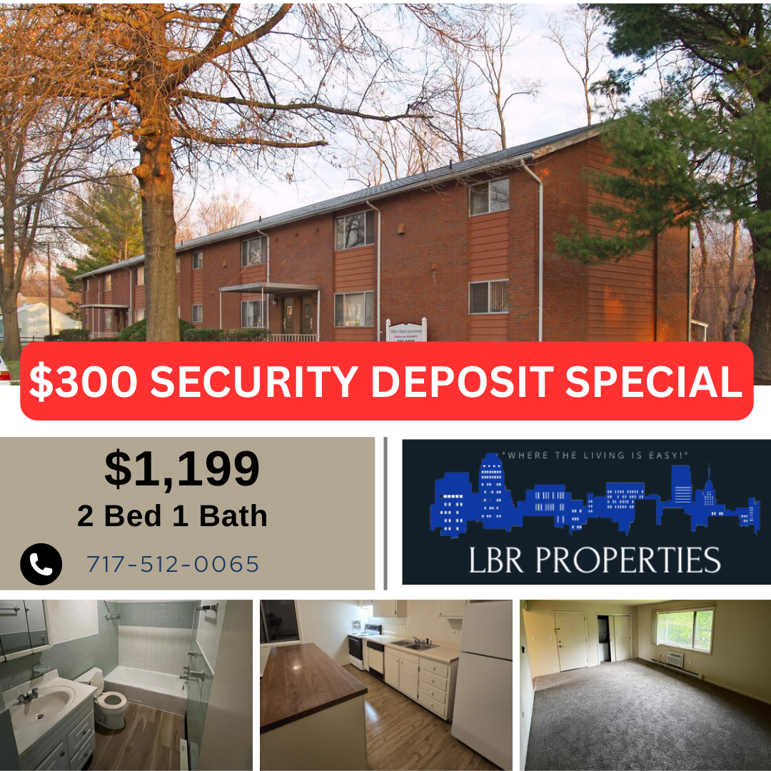 522 Willow Street - #8