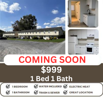 35 Stoney Run Road - 20