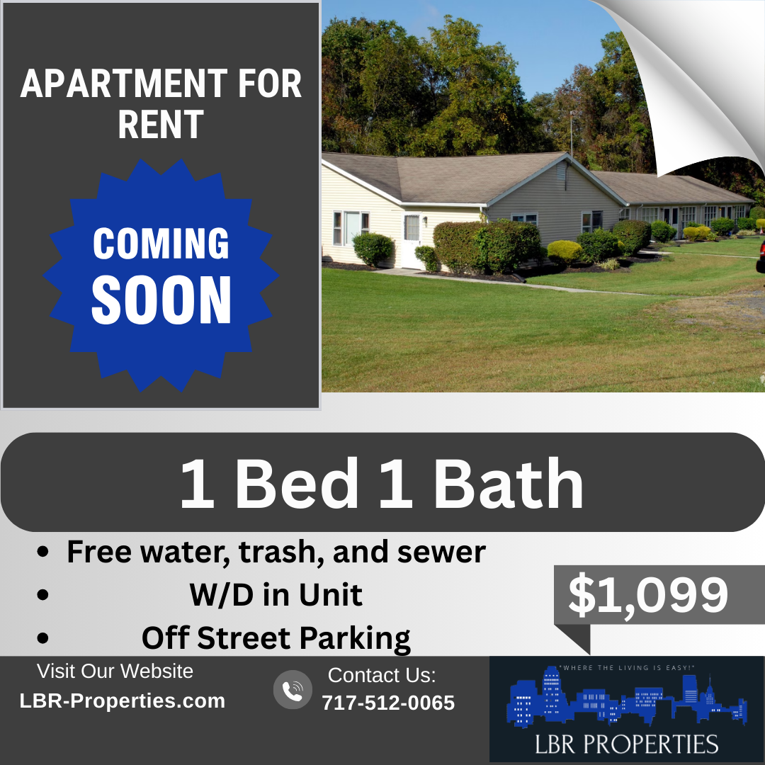 35 Stoney Run Road - 21