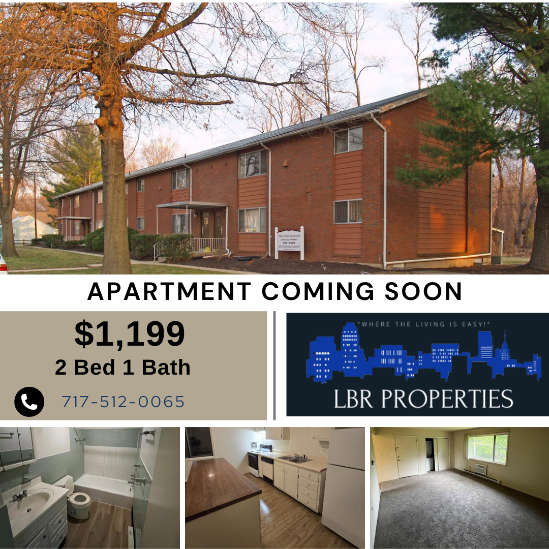 522 Willow Street - #8