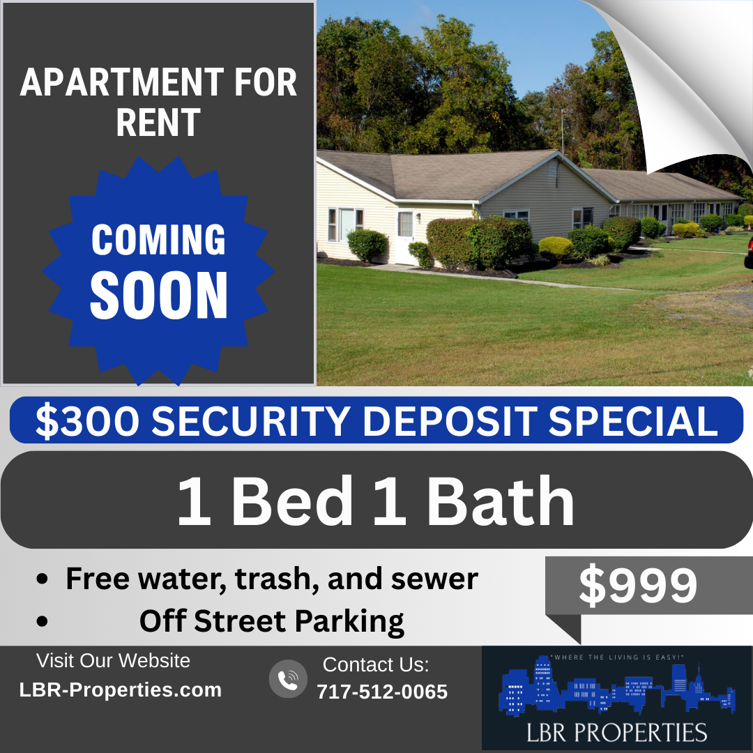 35 Stoney Run Road - 19