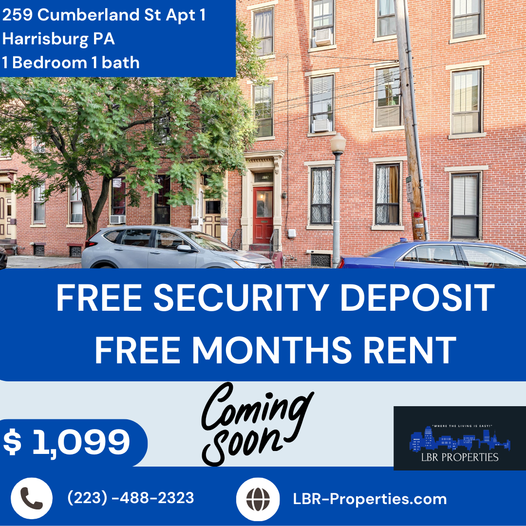259 Cumberland Street - 1