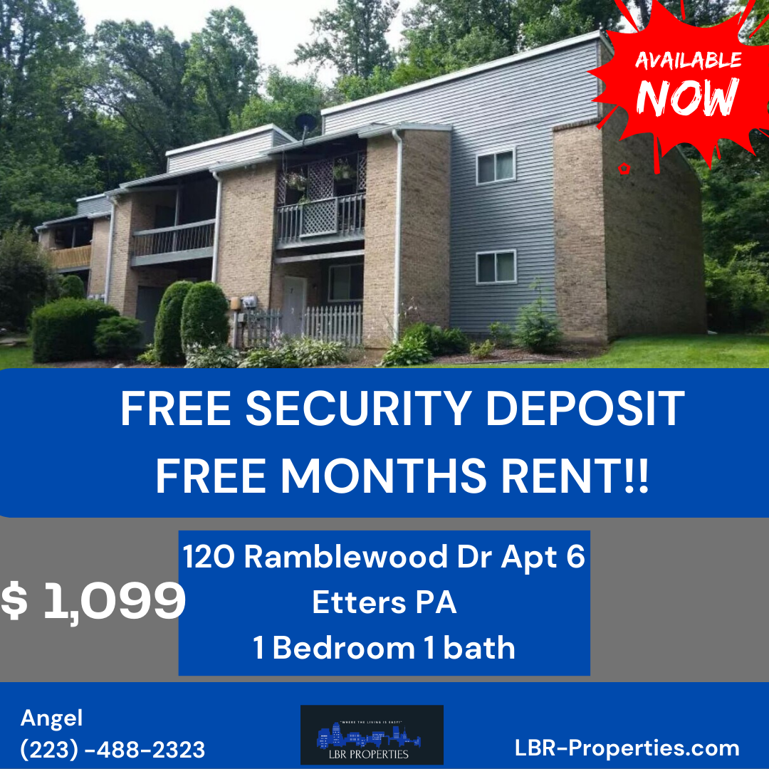 120 Ramblewood Drive - 6