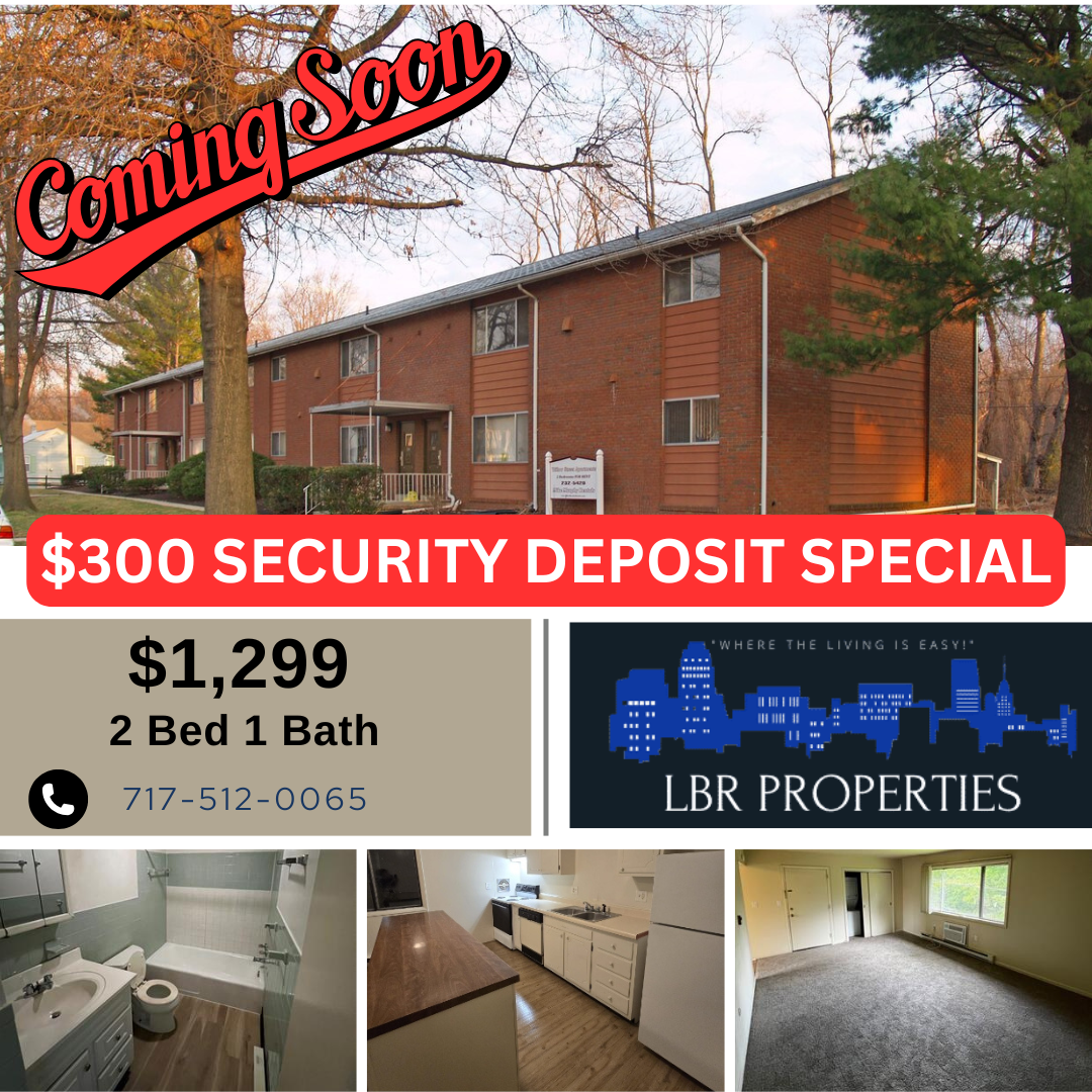 528 Willow Street - #11