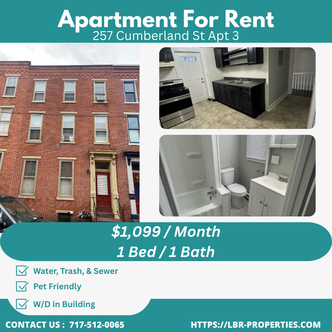 257 Cumberland Street - 3